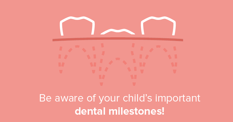 Graphic illustration of teeth roots below the gum line