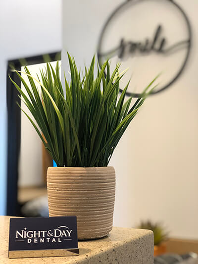 A plant and business card holder on a counter